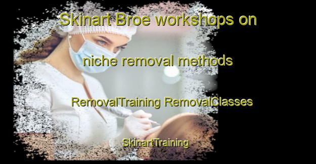 Skinart Broe workshops on niche removal methods | #RemovalTraining #RemovalClasses #SkinartTraining-Sweden