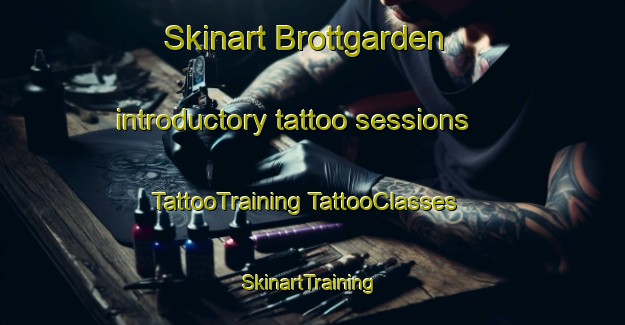 Skinart Brottgarden introductory tattoo sessions | #TattooTraining #TattooClasses #SkinartTraining-Sweden