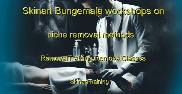 Skinart Bungemala workshops on niche removal methods | #RemovalTraining #RemovalClasses #SkinartTraining-Sweden