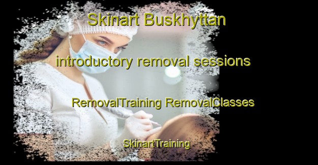 Skinart Buskhyttan introductory removal sessions | #RemovalTraining #RemovalClasses #SkinartTraining-Sweden