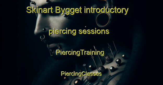 Skinart Bygget introductory piercing sessions | #PiercingTraining #PiercingClasses #SkinartTraining-Sweden