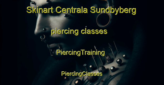 Skinart Centrala Sundbyberg piercing classes | #PiercingTraining #PiercingClasses #SkinartTraining-Sweden