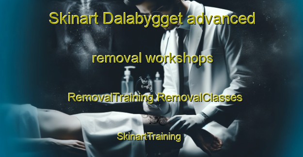 Skinart Dalabygget advanced removal workshops | #RemovalTraining #RemovalClasses #SkinartTraining-Sweden