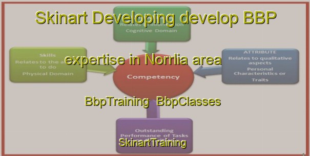 Skinart Developing develop BBP expertise in Norrlia area | BbpTraining | BbpClasses | SkinartTraining-Sweden