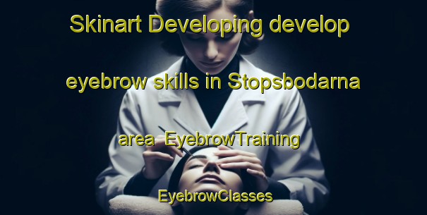 Skinart Developing develop eyebrow skills in Stopsbodarna area | EyebrowTraining | EyebrowClasses | SkinartTraining-Sweden