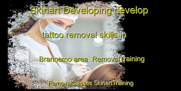 Skinart Developing develop tattoo removal skills in Brannemo area | #RemovalTraining #RemovalClasses #SkinartTraining-Sweden