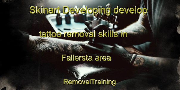 Skinart Developing develop tattoo removal skills in Fallersta area | RemovalTraining | RemovalClasses | SkinartTraining-Sweden