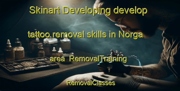 Skinart Developing develop tattoo removal skills in Norga area | RemovalTraining | RemovalClasses | SkinartTraining-Sweden