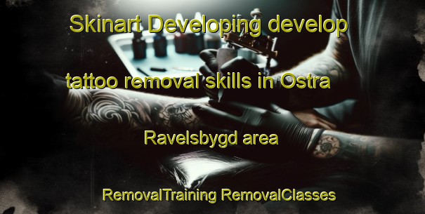 Skinart Developing develop tattoo removal skills in Ostra Ravelsbygd area | #RemovalTraining #RemovalClasses #SkinartTraining-Sweden