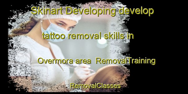 Skinart Developing develop tattoo removal skills in Overmora area | RemovalTraining | RemovalClasses | SkinartTraining-Sweden