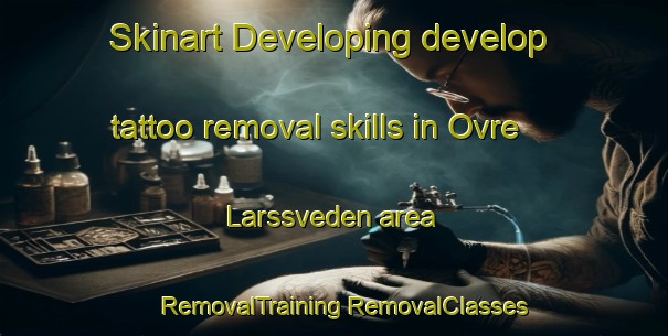 Skinart Developing develop tattoo removal skills in Ovre Larssveden area | #RemovalTraining #RemovalClasses #SkinartTraining-Sweden