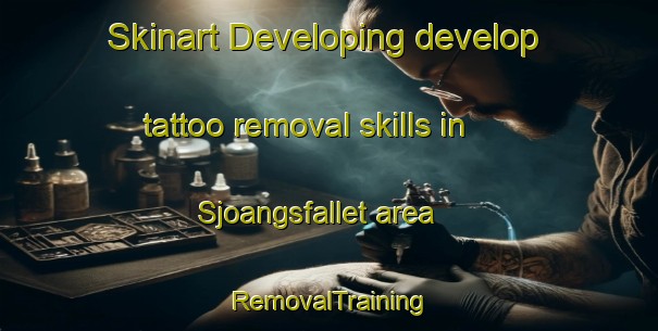Skinart Developing develop tattoo removal skills in Sjoangsfallet area | RemovalTraining | RemovalClasses | SkinartTraining-Sweden