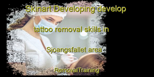 Skinart Developing develop tattoo removal skills in Sjoangsfallet area | RemovalTraining | RemovalClasses | SkinartTraining-Sweden