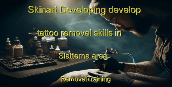 Skinart Developing develop tattoo removal skills in Slatterna area | RemovalTraining | RemovalClasses | SkinartTraining-Sweden