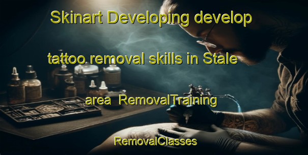 Skinart Developing develop tattoo removal skills in Stale area | RemovalTraining | RemovalClasses | SkinartTraining-Sweden