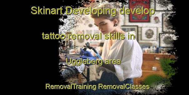 Skinart Developing develop tattoo removal skills in Uggleberg area | #RemovalTraining #RemovalClasses #SkinartTraining-Sweden