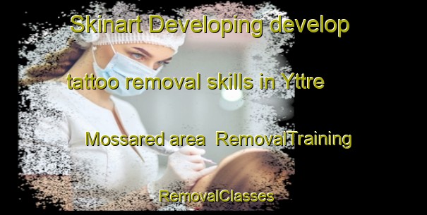 Skinart Developing develop tattoo removal skills in Yttre Mossared area | RemovalTraining | RemovalClasses | SkinartTraining-Sweden