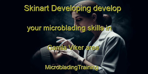 Skinart Developing develop your microblading skills in Gamla Viker area | MicrobladingTraining | MicrobladingClasses | SkinartTraining-Sweden