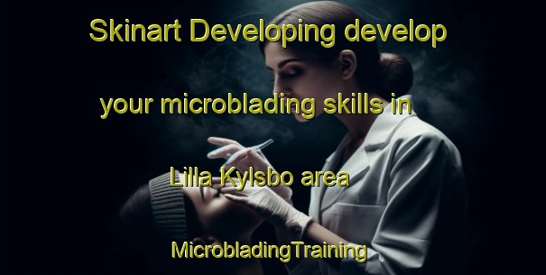 Skinart Developing develop your microblading skills in Lilla Kylsbo area | #MicrobladingTraining #MicrobladingClasses #SkinartTraining-Sweden