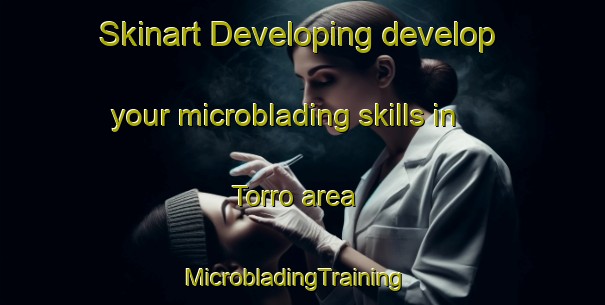 Skinart Developing develop your microblading skills in Torro area | MicrobladingTraining | MicrobladingClasses | SkinartTraining-Sweden