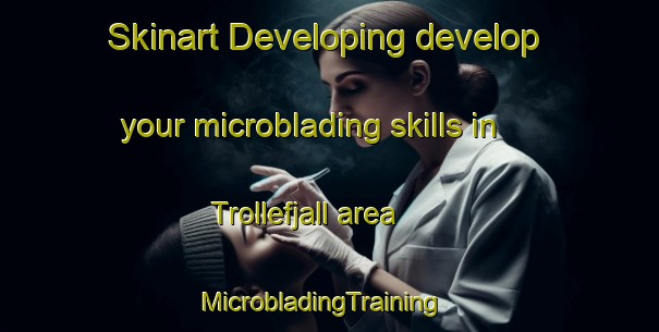 Skinart Developing develop your microblading skills in Trollefjall area | MicrobladingTraining | MicrobladingClasses | SkinartTraining-Sweden