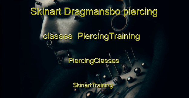 Skinart Dragmansbo piercing classes | #PiercingTraining #PiercingClasses #SkinartTraining-Sweden