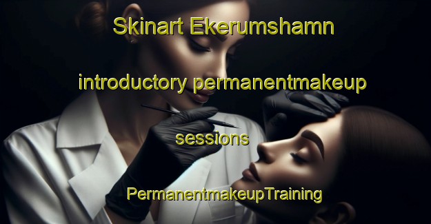 Skinart Ekerumshamn introductory permanentmakeup sessions | #PermanentmakeupTraining #PermanentmakeupClasses #SkinartTraining-Sweden