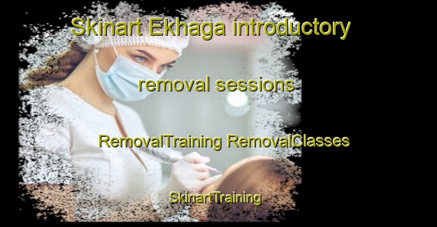 Skinart Ekhaga introductory removal sessions | #RemovalTraining #RemovalClasses #SkinartTraining-Sweden