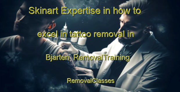 Skinart Expertise in how to excel in tattoo removal in Bjarten | RemovalTraining | RemovalClasses | SkinartTraining-Sweden