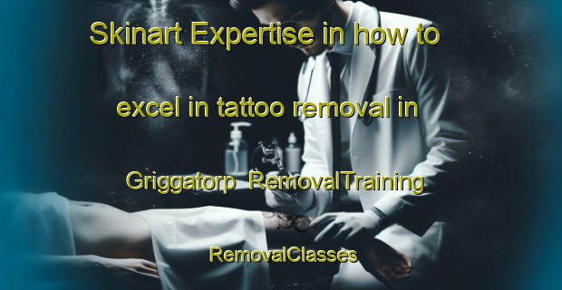 Skinart Expertise in how to excel in tattoo removal in Griggatorp | RemovalTraining | RemovalClasses | SkinartTraining-Sweden