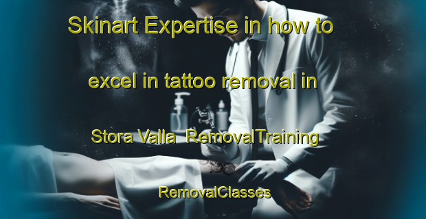 Skinart Expertise in how to excel in tattoo removal in Stora Valla | RemovalTraining | RemovalClasses | SkinartTraining-Sweden