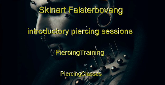 Skinart Falsterbovang introductory piercing sessions | PiercingTraining | PiercingClasses | SkinartTraining-Sweden