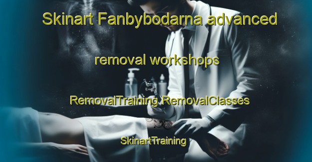 Skinart Fanbybodarna advanced removal workshops | #RemovalTraining #RemovalClasses #SkinartTraining-Sweden