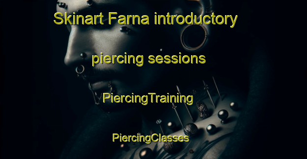 Skinart Farna introductory piercing sessions | PiercingTraining | PiercingClasses | SkinartTraining-Sweden