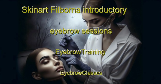 Skinart Filborna introductory eyebrow sessions | EyebrowTraining | EyebrowClasses | SkinartTraining-Sweden