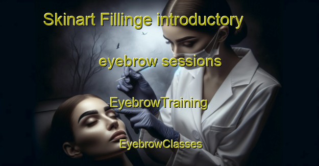 Skinart Fillinge introductory eyebrow sessions | EyebrowTraining | EyebrowClasses | SkinartTraining-Sweden