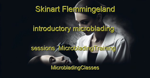 Skinart Flemmingeland introductory microblading sessions | #MicrobladingTraining #MicrobladingClasses #SkinartTraining-Sweden