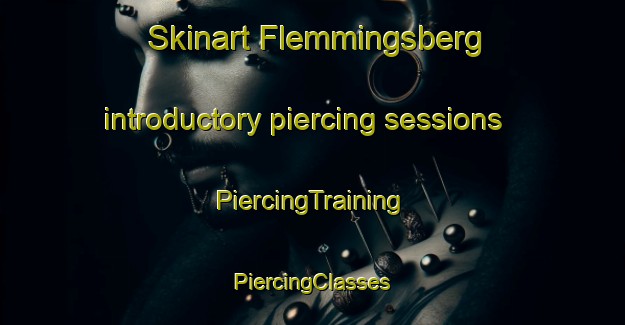 Skinart Flemmingsberg introductory piercing sessions | #PiercingTraining #PiercingClasses #SkinartTraining-Sweden