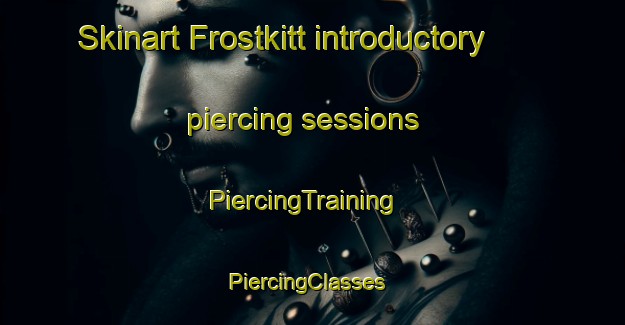 Skinart Frostkitt introductory piercing sessions | PiercingTraining | PiercingClasses | SkinartTraining-Sweden