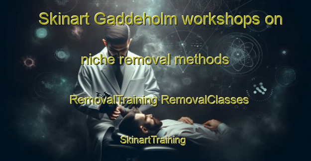 Skinart Gaddeholm workshops on niche removal methods | #RemovalTraining #RemovalClasses #SkinartTraining-Sweden