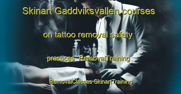 Skinart Gaddviksvallen courses on tattoo removal safety practices | #RemovalTraining #RemovalClasses #SkinartTraining-Sweden