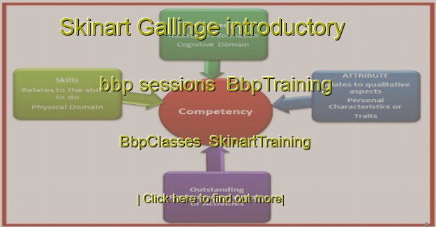 Skinart Gallinge introductory bbp sessions | BbpTraining | BbpClasses | SkinartTraining-Sweden