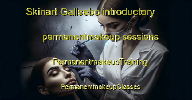 Skinart Gallsebo introductory permanentmakeup sessions | #PermanentmakeupTraining #PermanentmakeupClasses #SkinartTraining-Sweden