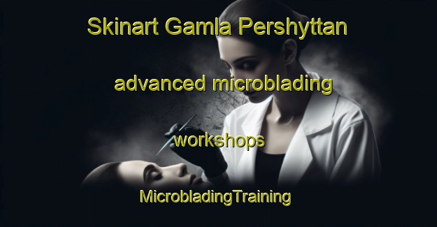 Skinart Gamla Pershyttan advanced microblading workshops | #MicrobladingTraining #MicrobladingClasses #SkinartTraining-Sweden