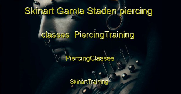 Skinart Gamla Staden piercing classes | #PiercingTraining #PiercingClasses #SkinartTraining-Sweden