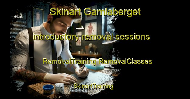 Skinart Gamlaberget introductory removal sessions | #RemovalTraining #RemovalClasses #SkinartTraining-Sweden