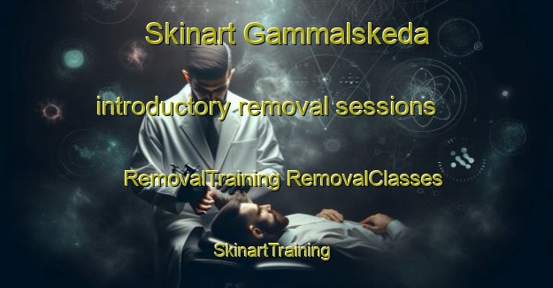 Skinart Gammalskeda introductory removal sessions | #RemovalTraining #RemovalClasses #SkinartTraining-Sweden