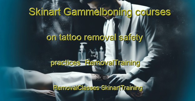 Skinart Gammelboning courses on tattoo removal safety practices | #RemovalTraining #RemovalClasses #SkinartTraining-Sweden