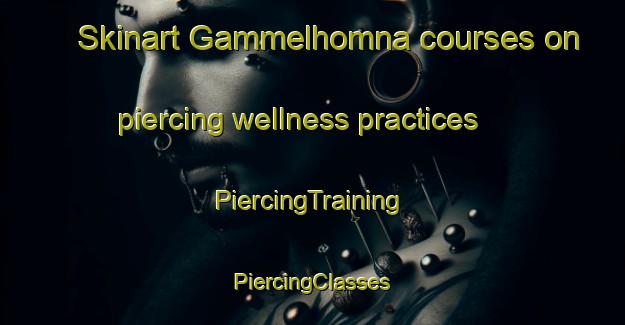 Skinart Gammelhomna courses on piercing wellness practices | #PiercingTraining #PiercingClasses #SkinartTraining-Sweden