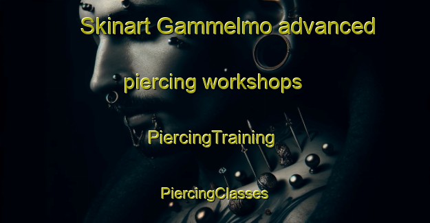 Skinart Gammelmo advanced piercing workshops | #PiercingTraining #PiercingClasses #SkinartTraining-Sweden